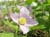 CIMG0019